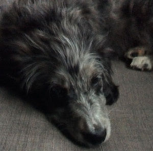 Meet your Posher, Big mac grant